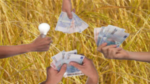 Nord : De l’argent frais distribué aux agriculteurs
